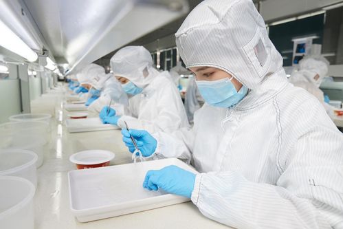 再登世界品質之巔 燕之屋榮獲歐盟BRC IFS雙認證，硬件研發(fā)成就卓越